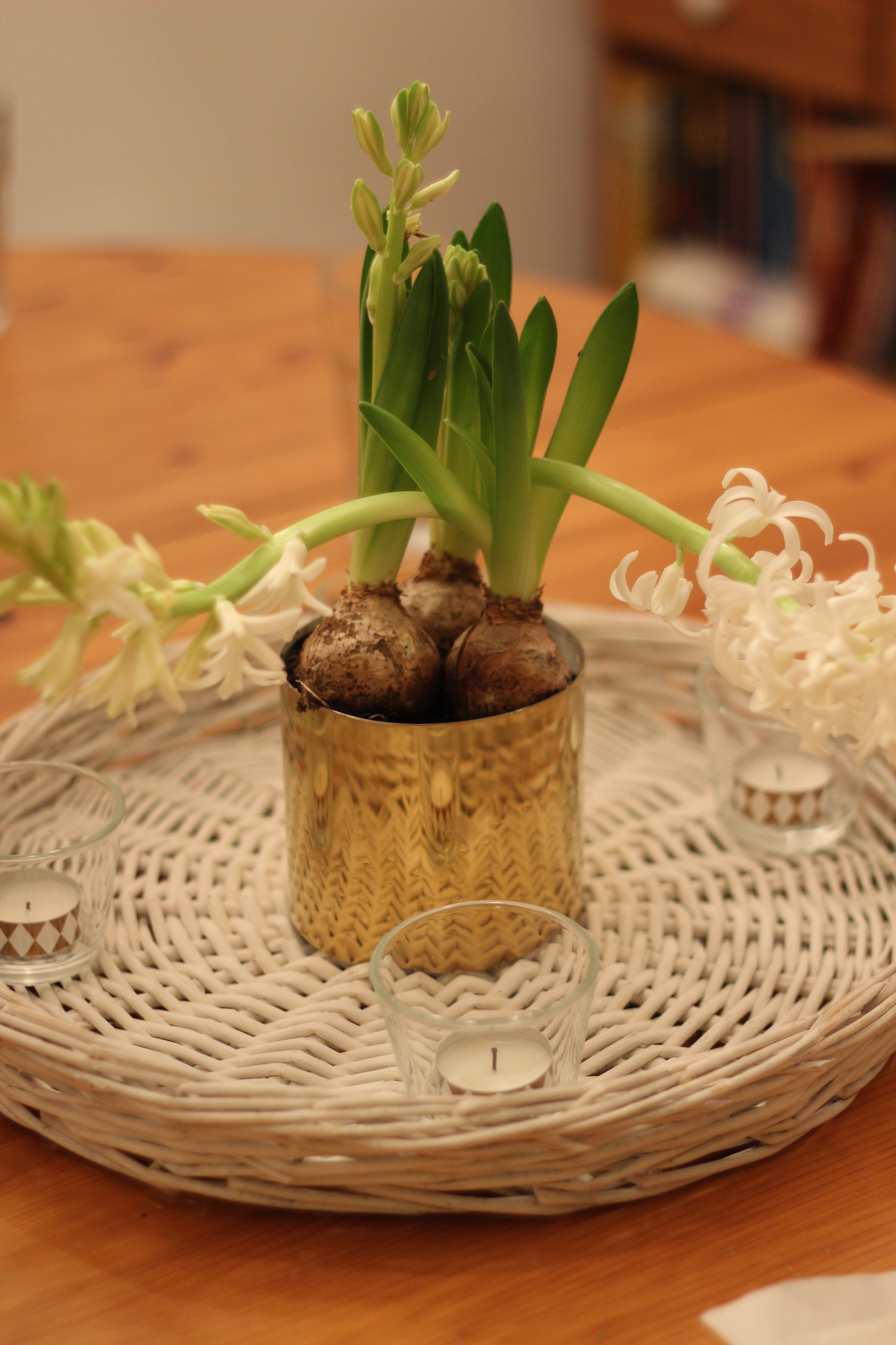 10775494896_img_0405