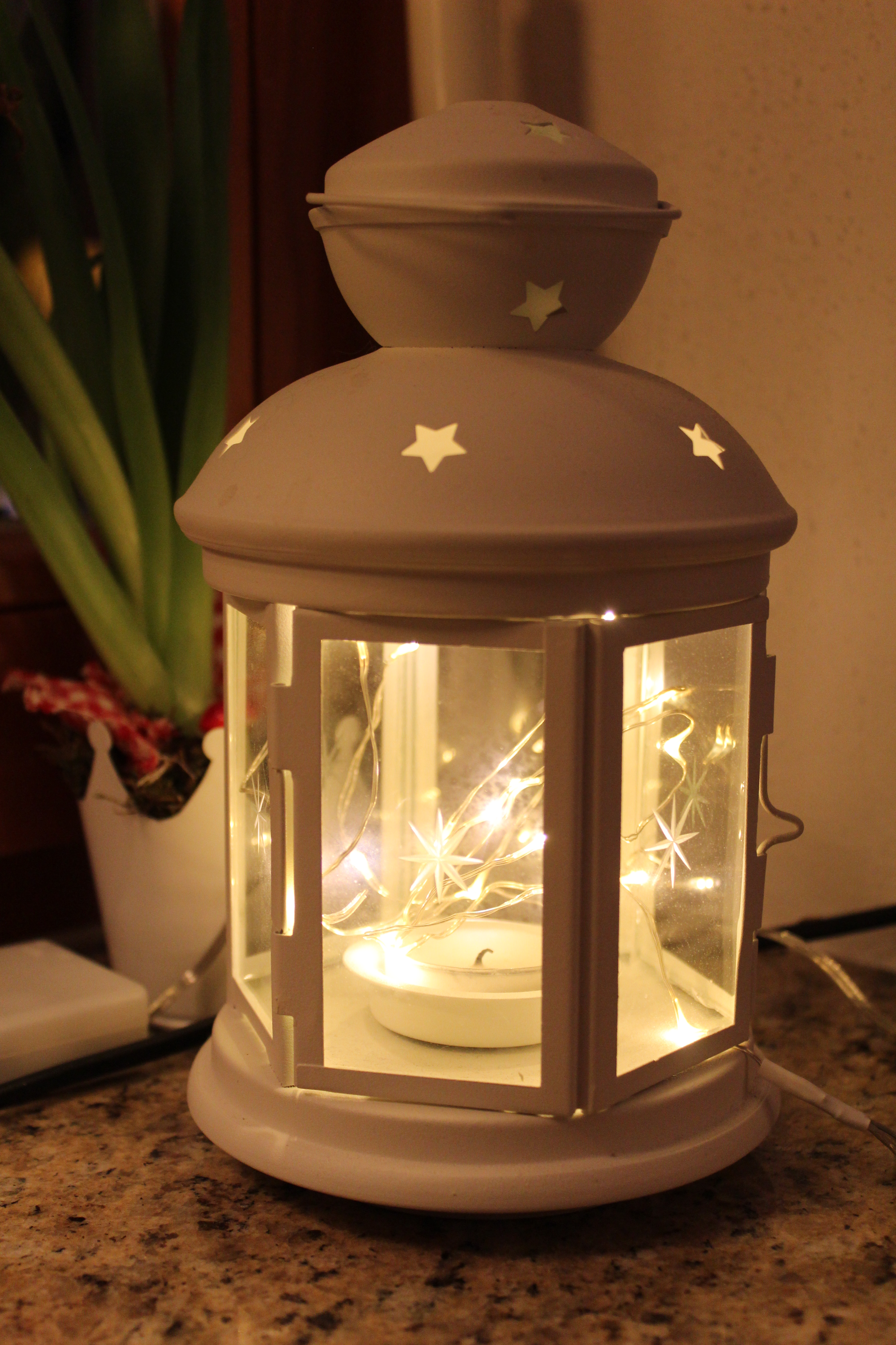 10775645856_img_0394